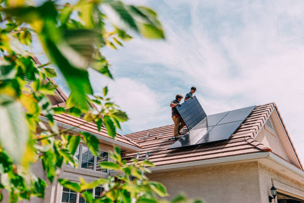 Best Roof Maintenance Services  in Lynwood, IL