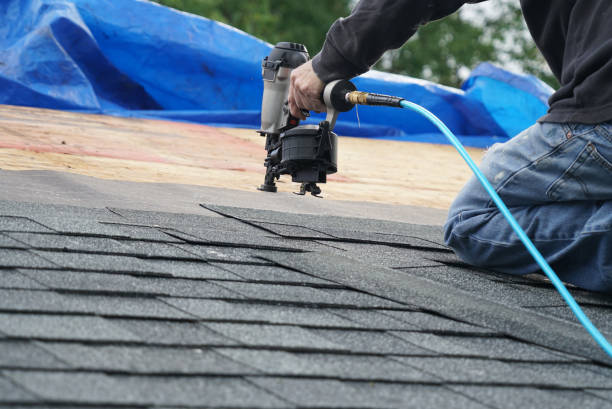 Best Gutter Installation and Roofing  in Lynwood, IL