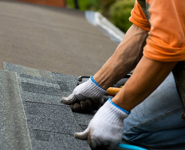 Best Roof Repair Services  in Lynwood, IL