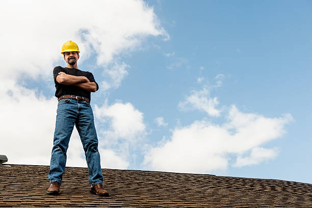 Roof Gutter Cleaning in Lynwood, IL